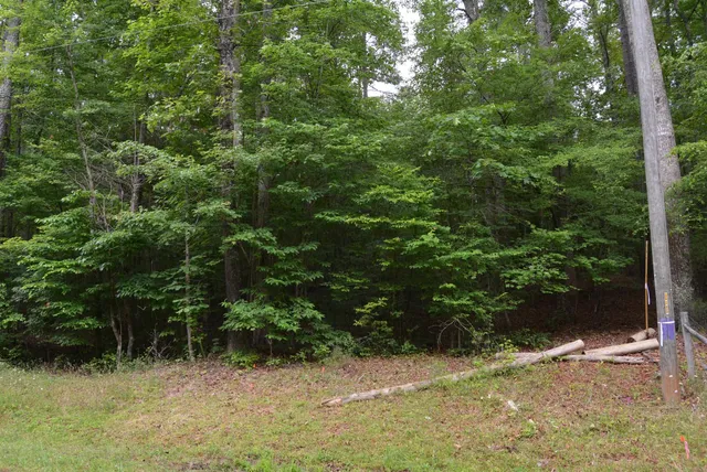$1,802,350 | 0 Tom Wright Road, Franklinton, NC 27525