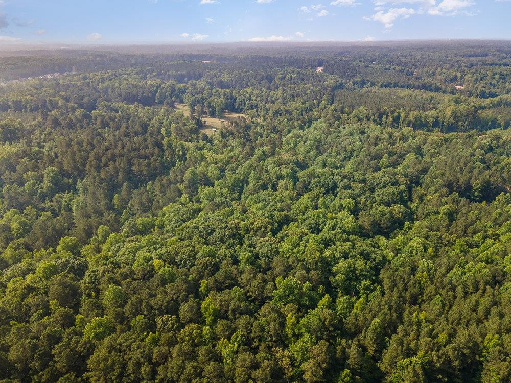 0 Tom Wright Road Franklinton, NC 27525 - Photo 18 of 25 Aerial