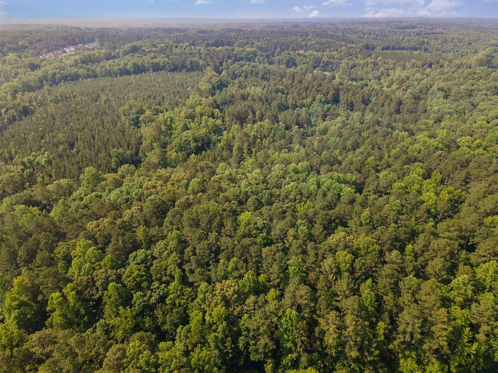 0 Tom Wright Road Franklinton, NC 27525 - Photo 19 of 25 Aerial