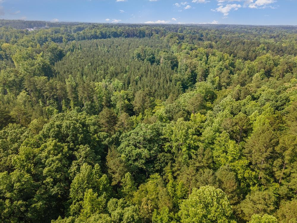 0 Tom Wright Road Franklinton, NC 27525 - Photo 20 of 25 Aerial