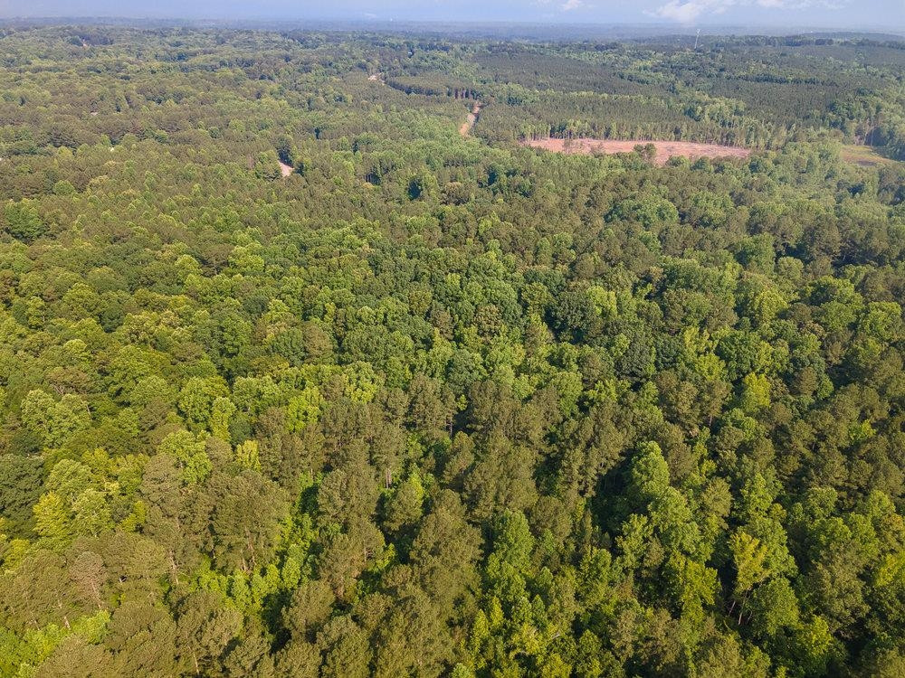 0 Tom Wright Road Franklinton, NC 27525 - Photo 21 of 25 Aerial