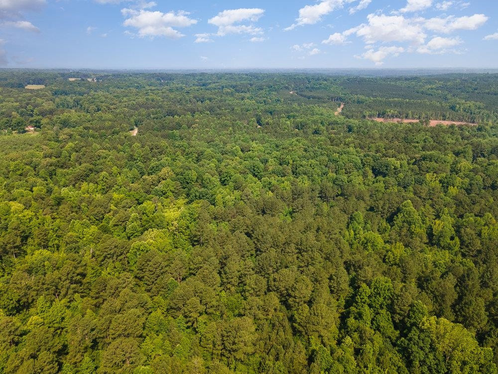 0 Tom Wright Road Franklinton, NC 27525 - Photo 23 of 25 Aerial