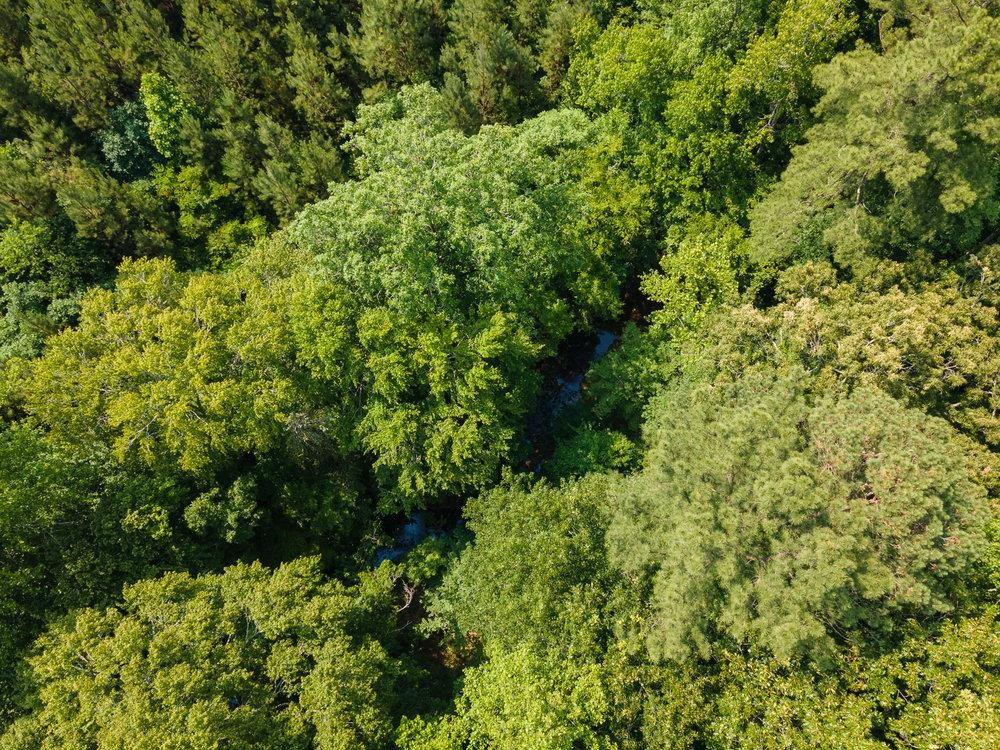 0 Tom Wright Road Franklinton, NC 27525 - Photo 24 of 25 Aerial