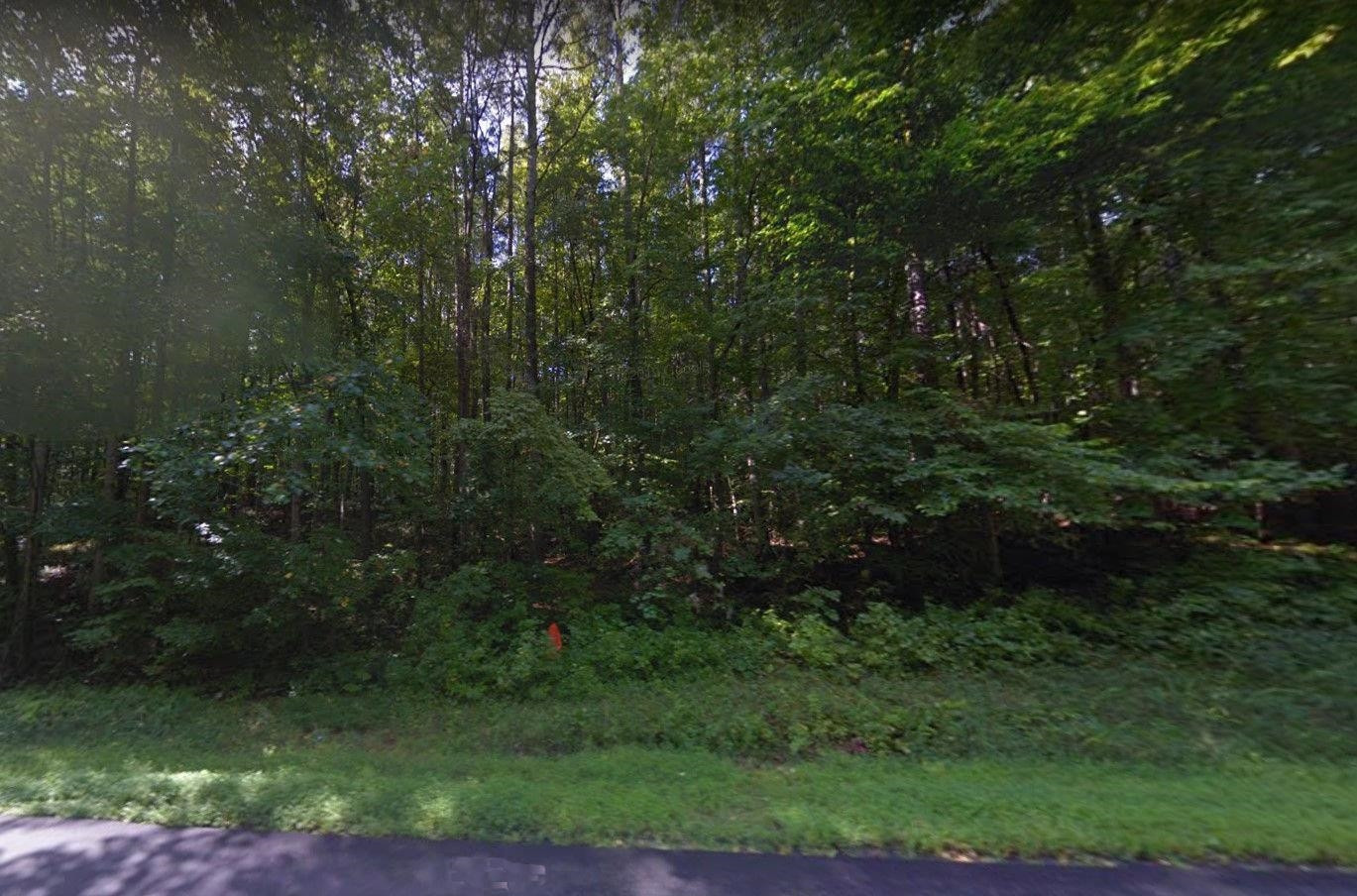 0 Tom Wright Road Franklinton, NC 27525 - Photo 3 of 25 Road Frontage