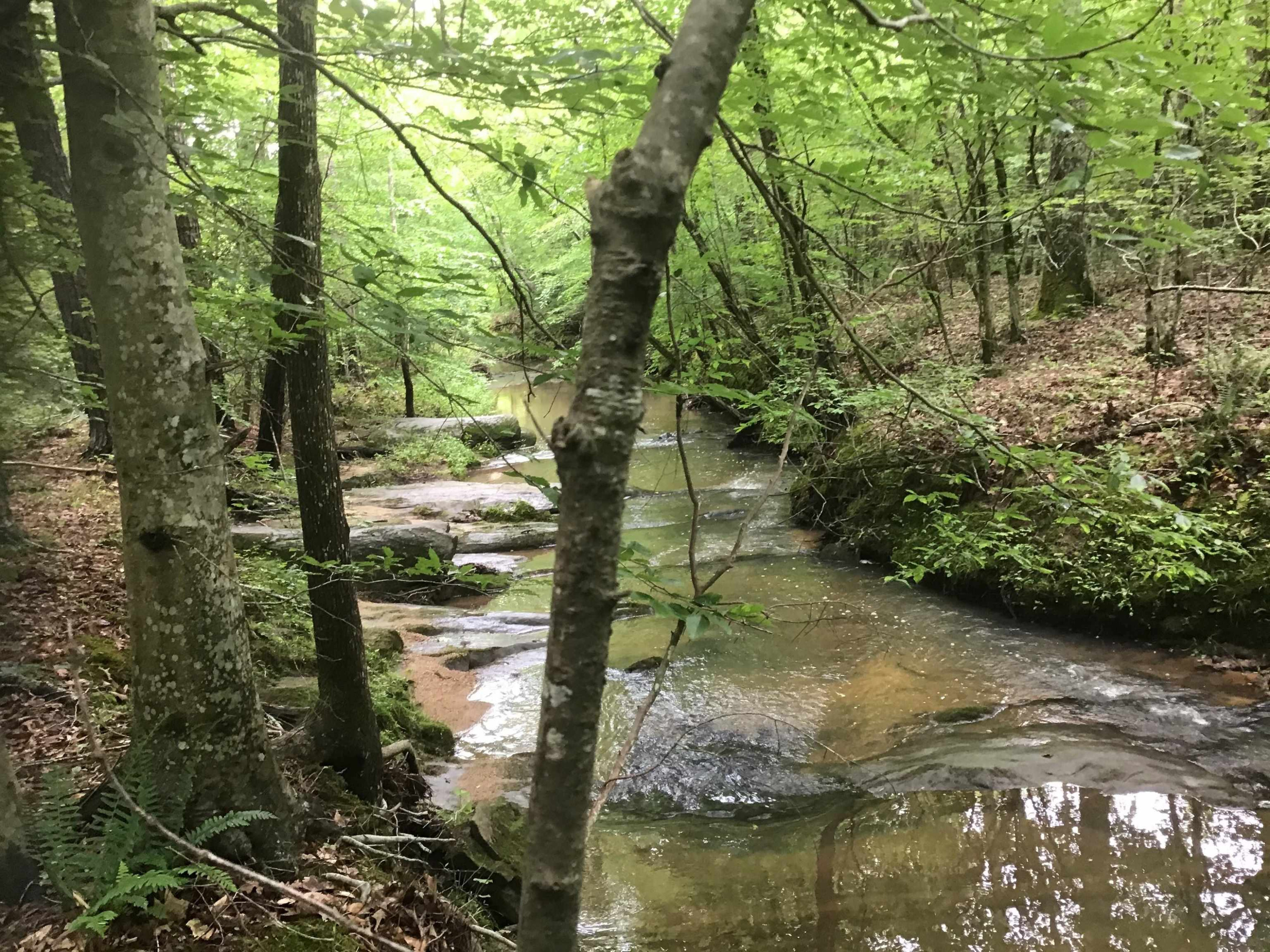 0 Tom Wright Road Franklinton, NC 27525 - Photo 5 of 25 Creek