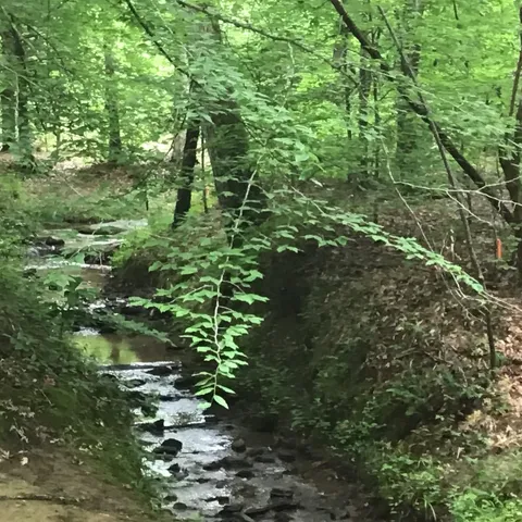 $1,802,350 | 0 Tom Wright Road, Franklinton, NC 27525