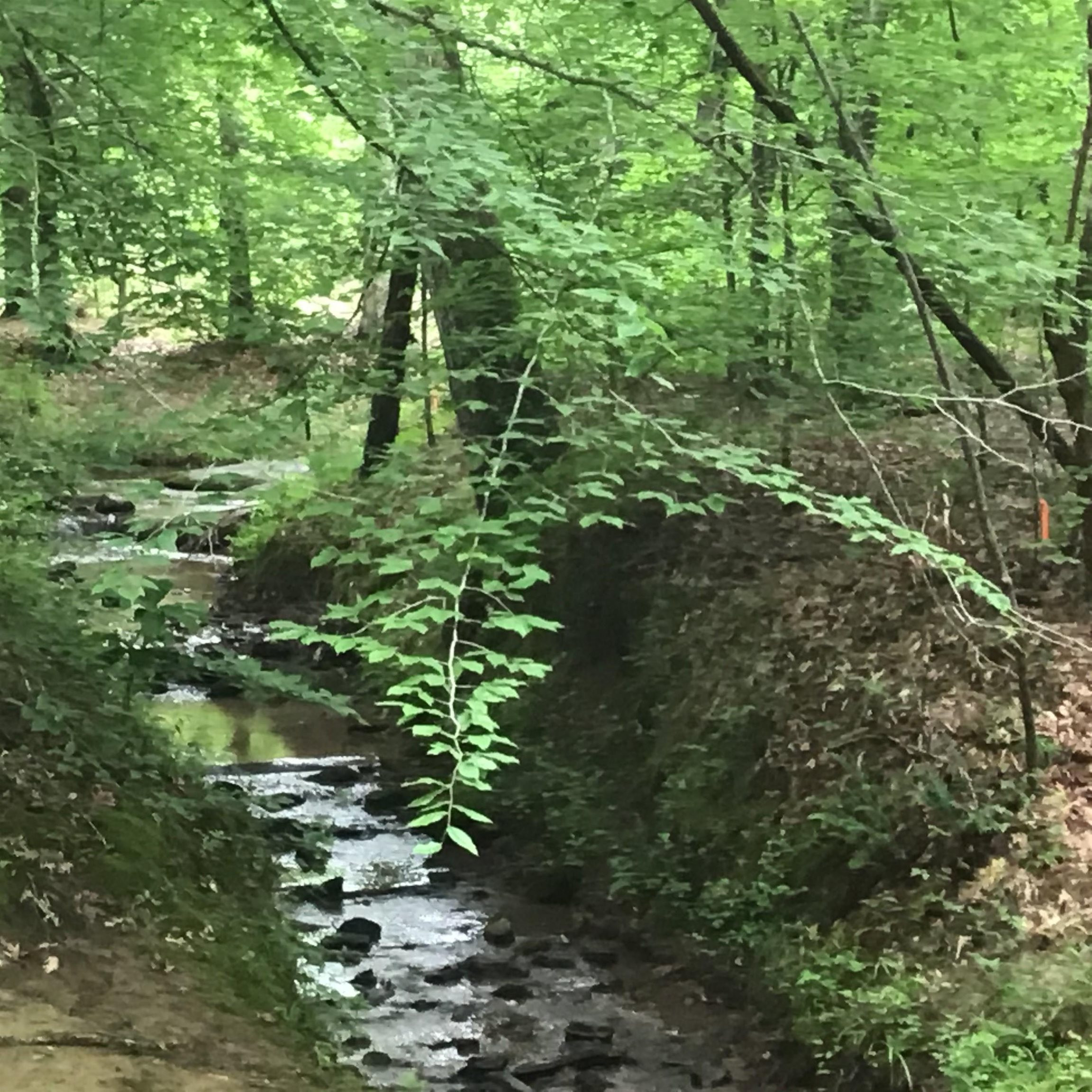 0 Tom Wright Road Franklinton, NC 27525 - Photo 6 of 25 Creek