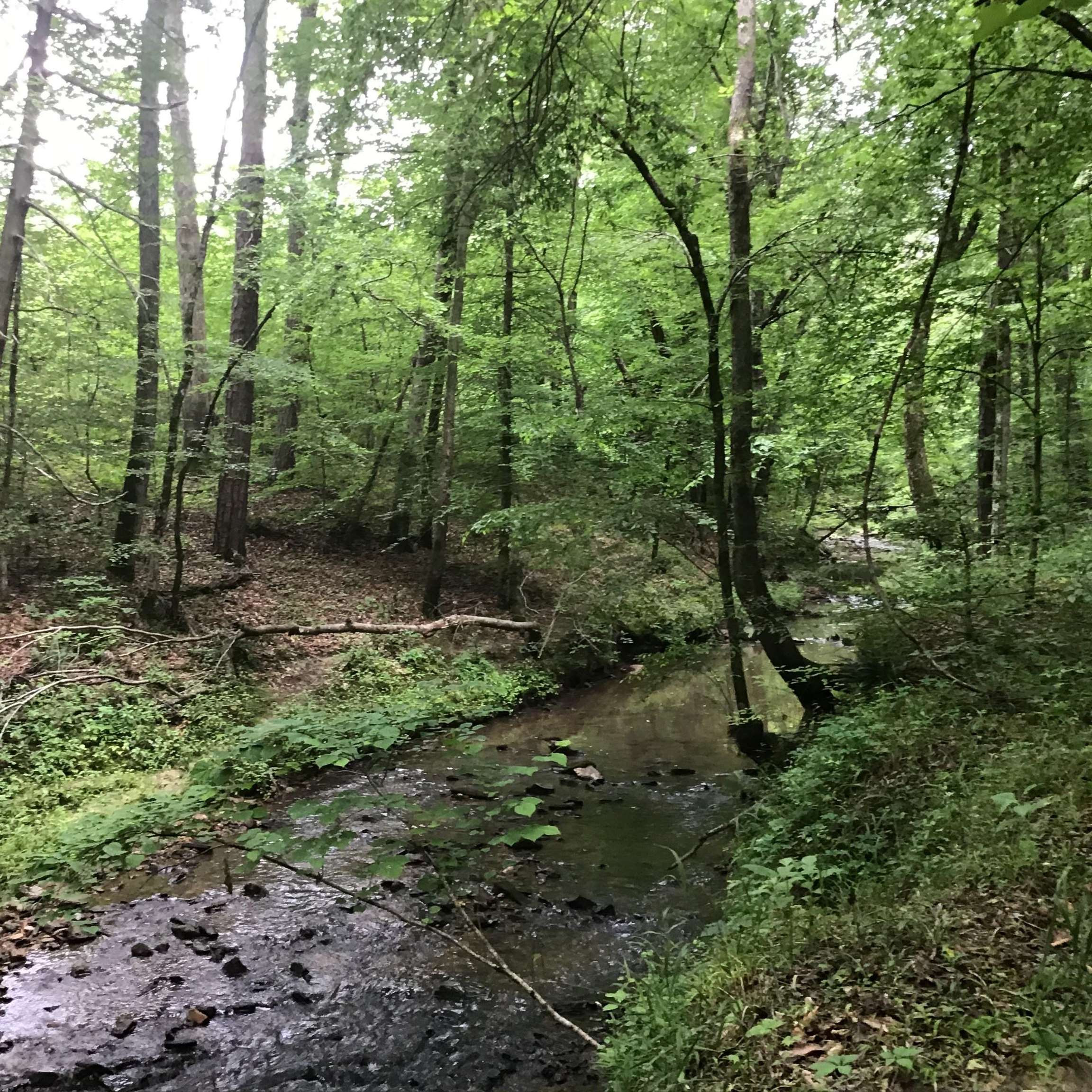 0 Tom Wright Road Franklinton, NC 27525 - Photo 7 of 25 Creek