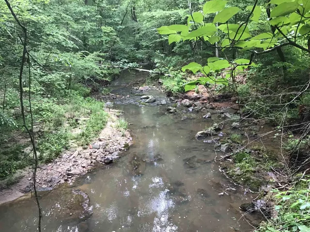 $1,802,350 | 0 Tom Wright Road, Franklinton, NC 27525