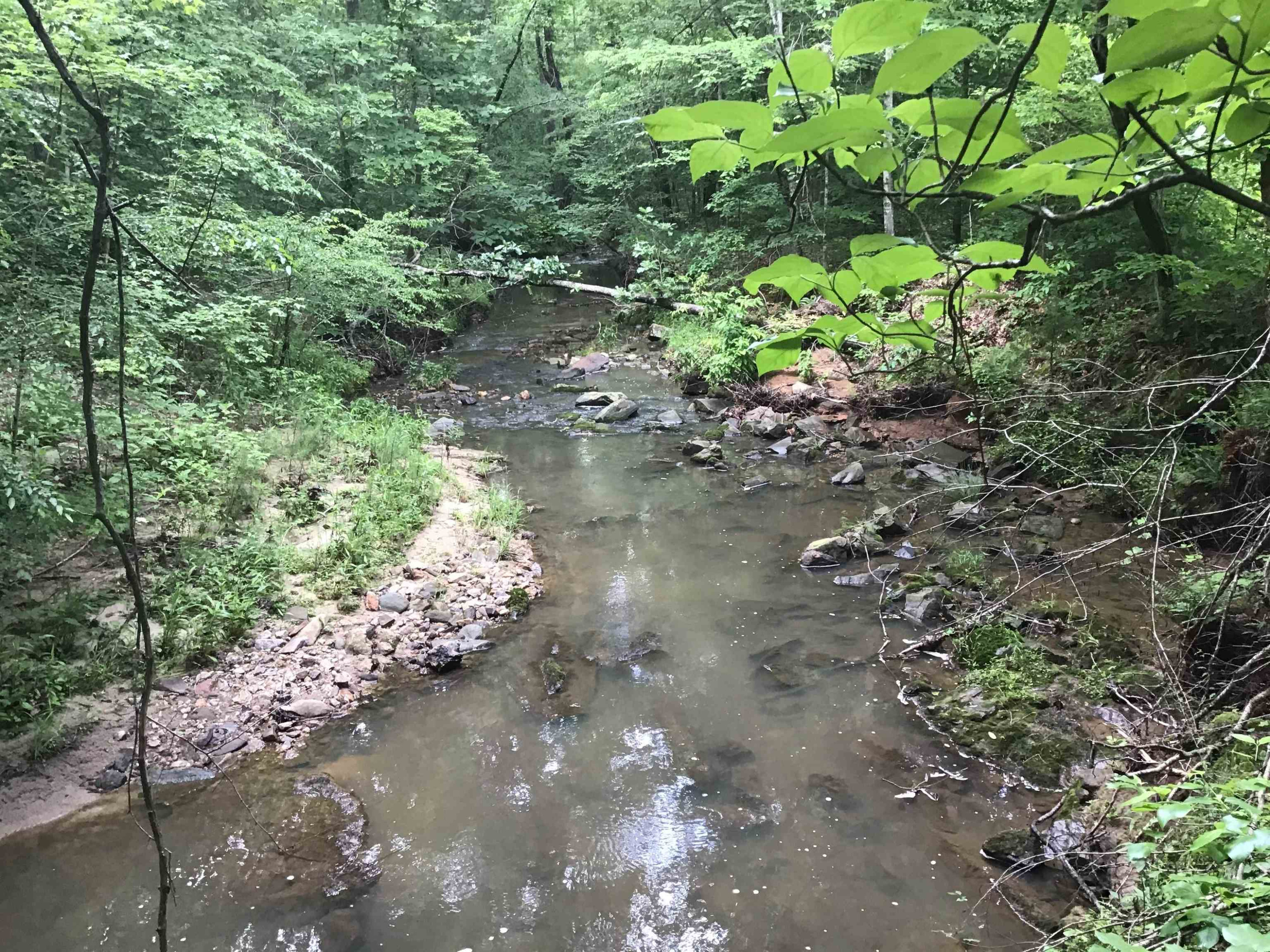 0 Tom Wright Road Franklinton, NC 27525 - Photo 8 of 25 Creek