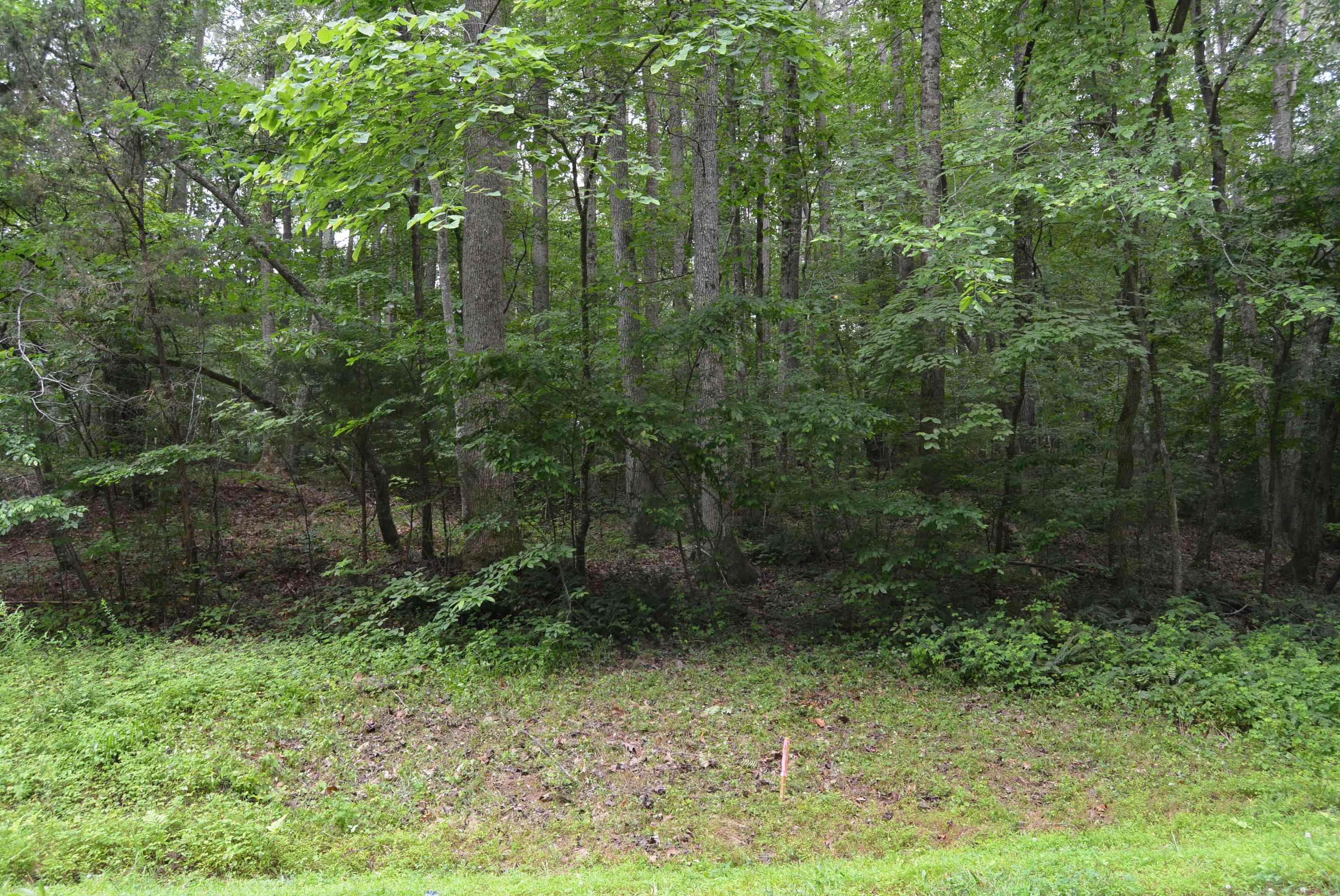 0 Tom Wright Road Franklinton, NC 27525 - Photo 9 of 25 Wooded Area