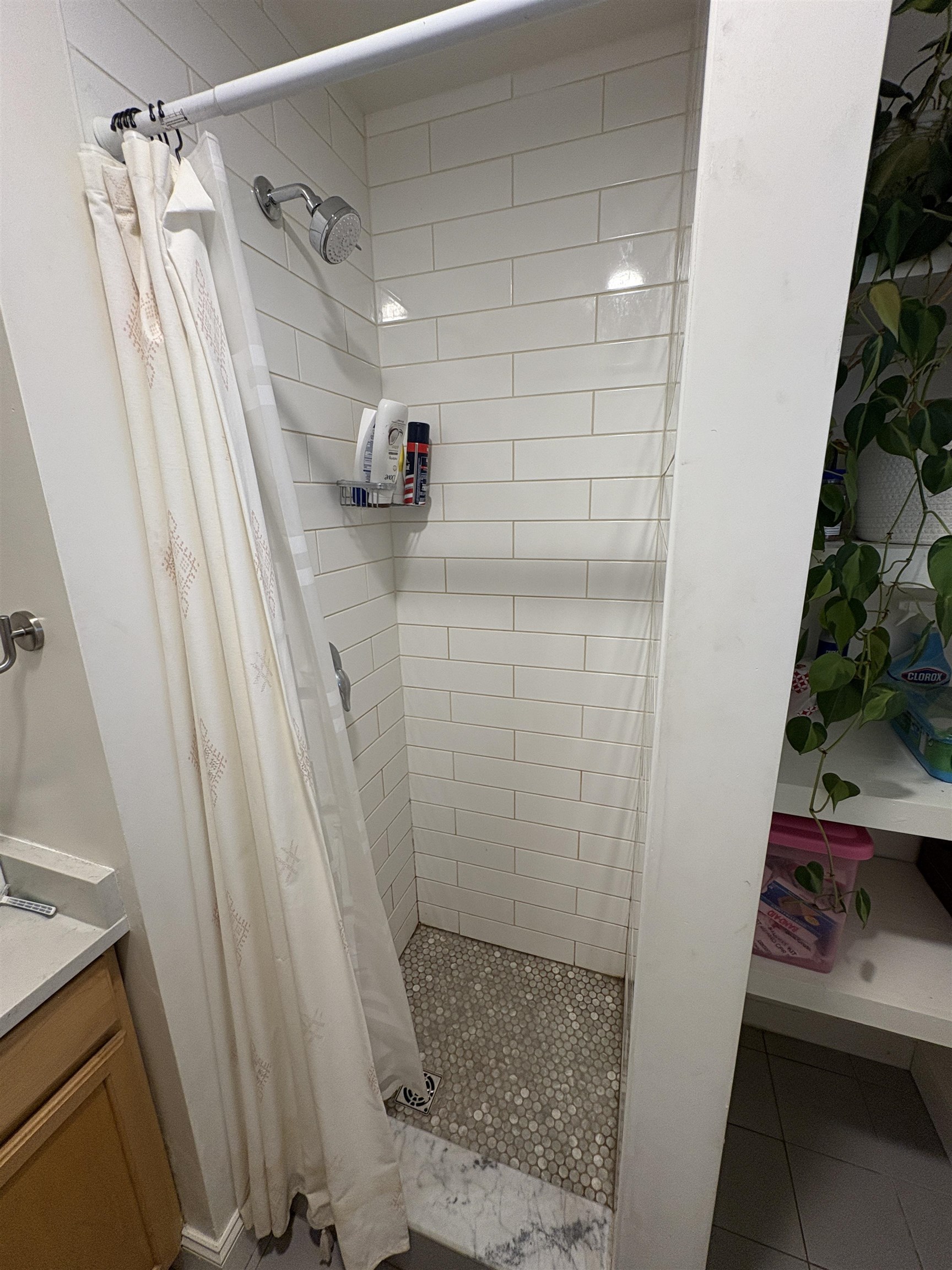 11 U Fletcher Place, Unit UPPR Burlington, VT 05401 - Photo 7 of 17