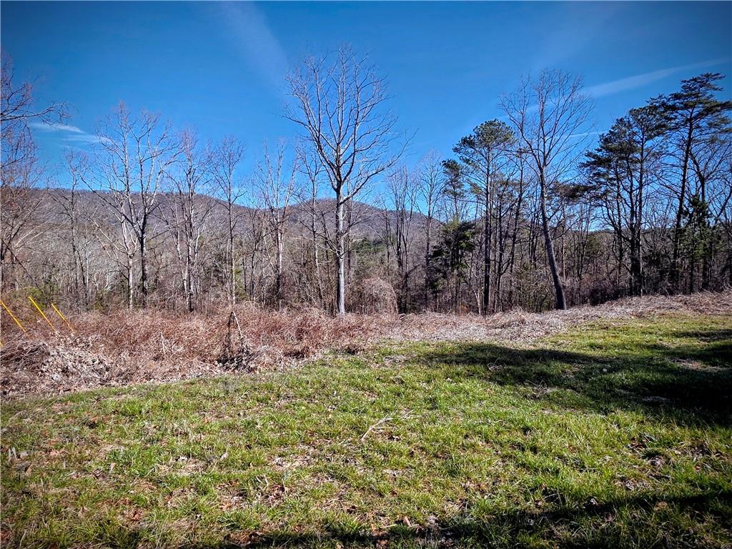 2 Cowart Mountain Road Jasper, GA 30143 - Photo 2 of 11