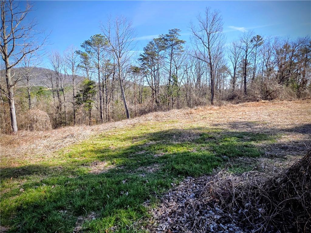 2 Cowart Mountain Road Jasper, GA 30143 - Photo 3 of 11