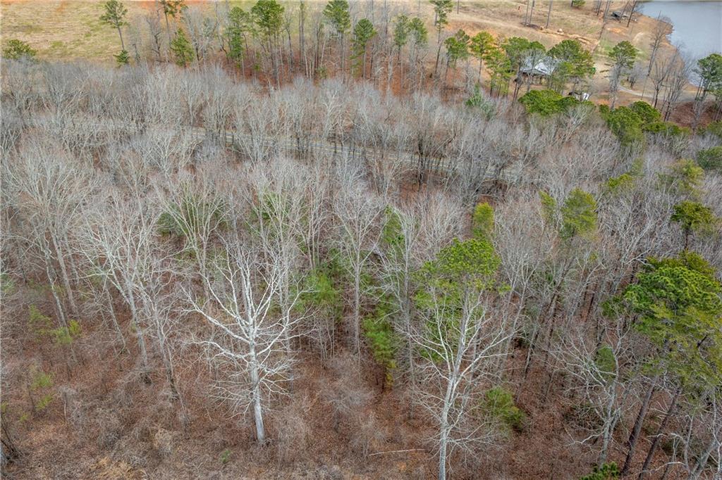 2 Cowart Mountain Road Jasper, GA 30143 - Photo 6 of 11