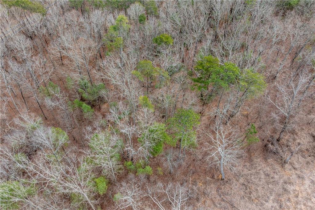 2 Cowart Mountain Road Jasper, GA 30143 - Photo 7 of 11