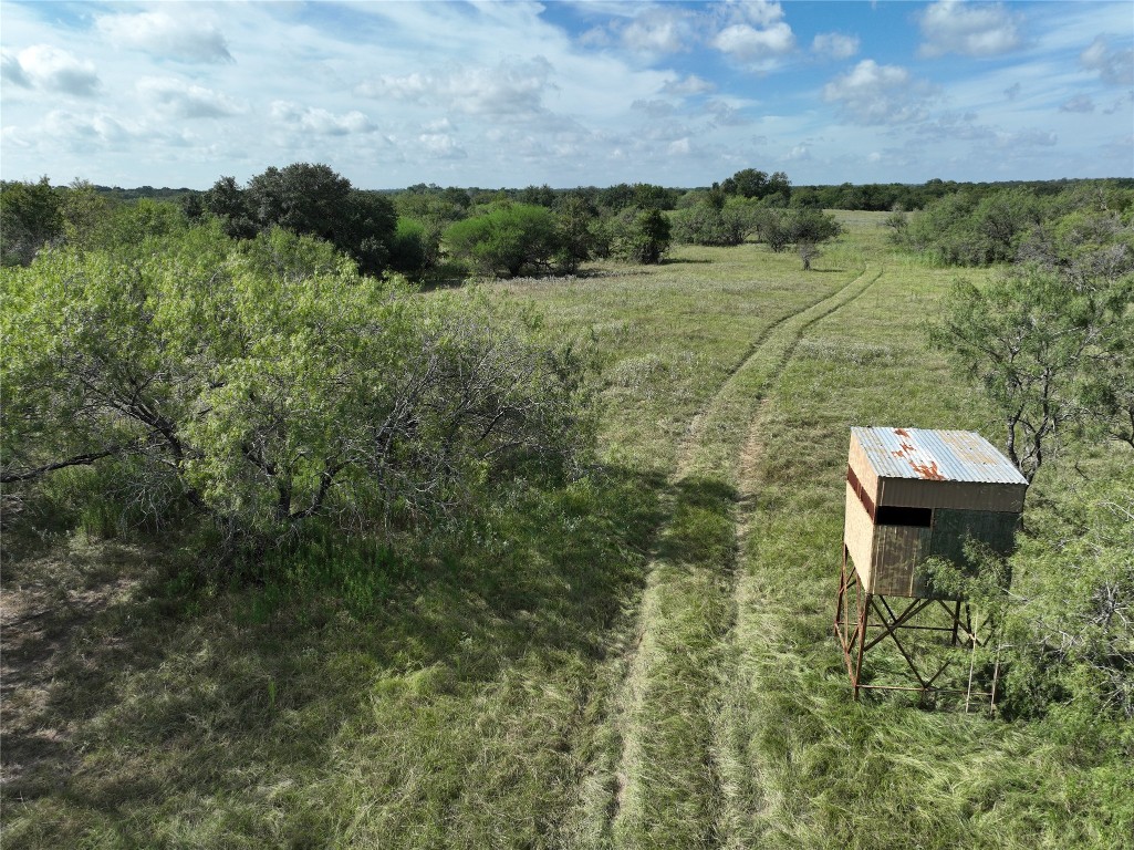 424 Rd Waelder Tx 78629 Road Waelder, TX 78959 - Photo 1 of 1 Gallery Image 1