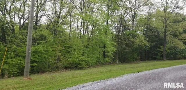 $23,000 | Lot 80-81 Saluki Way, Goreville, IL 62939