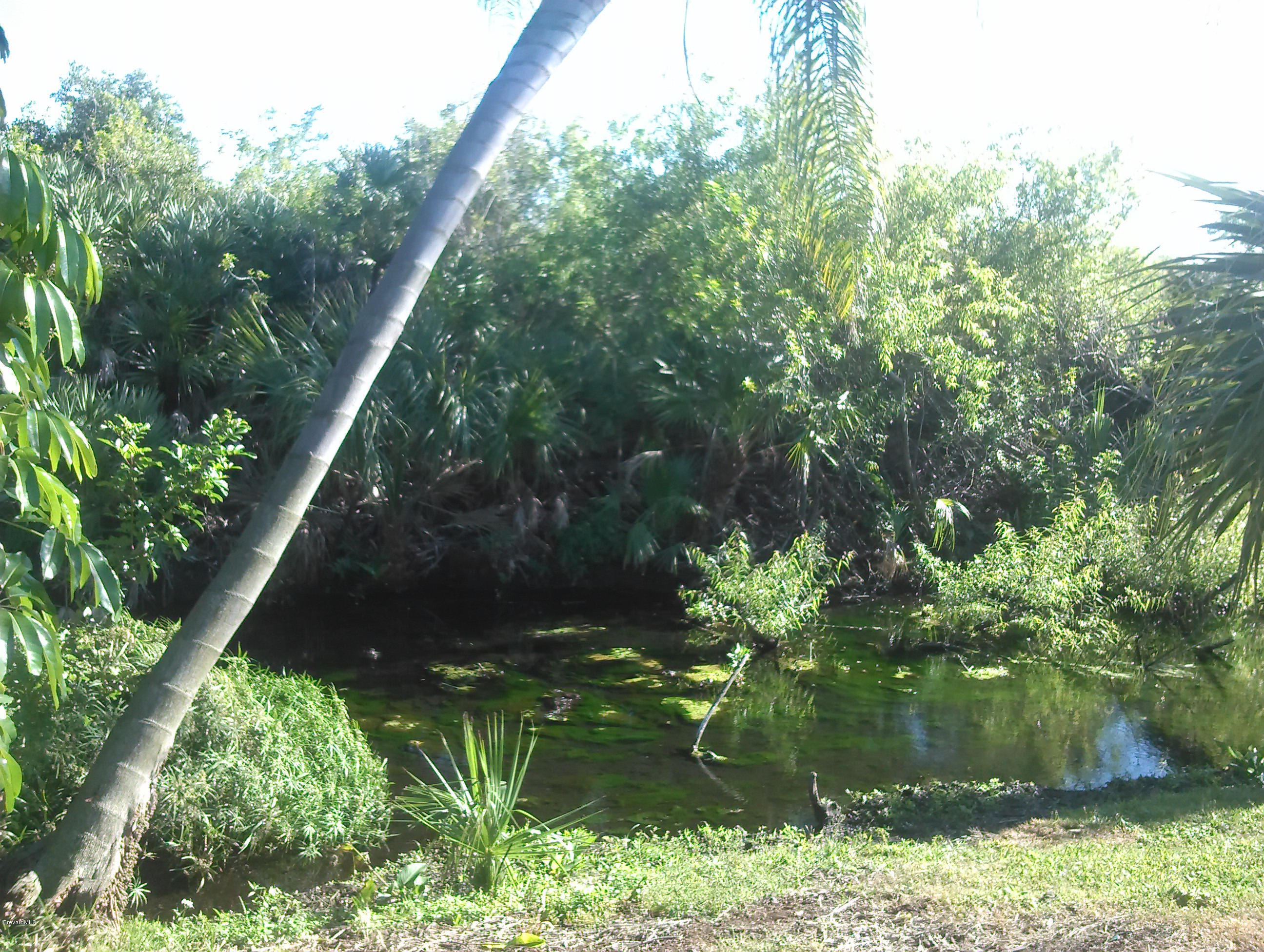 175 Sand Dollar Road Indialantic, FL 32903 - Photo 29 of 44 Canal view