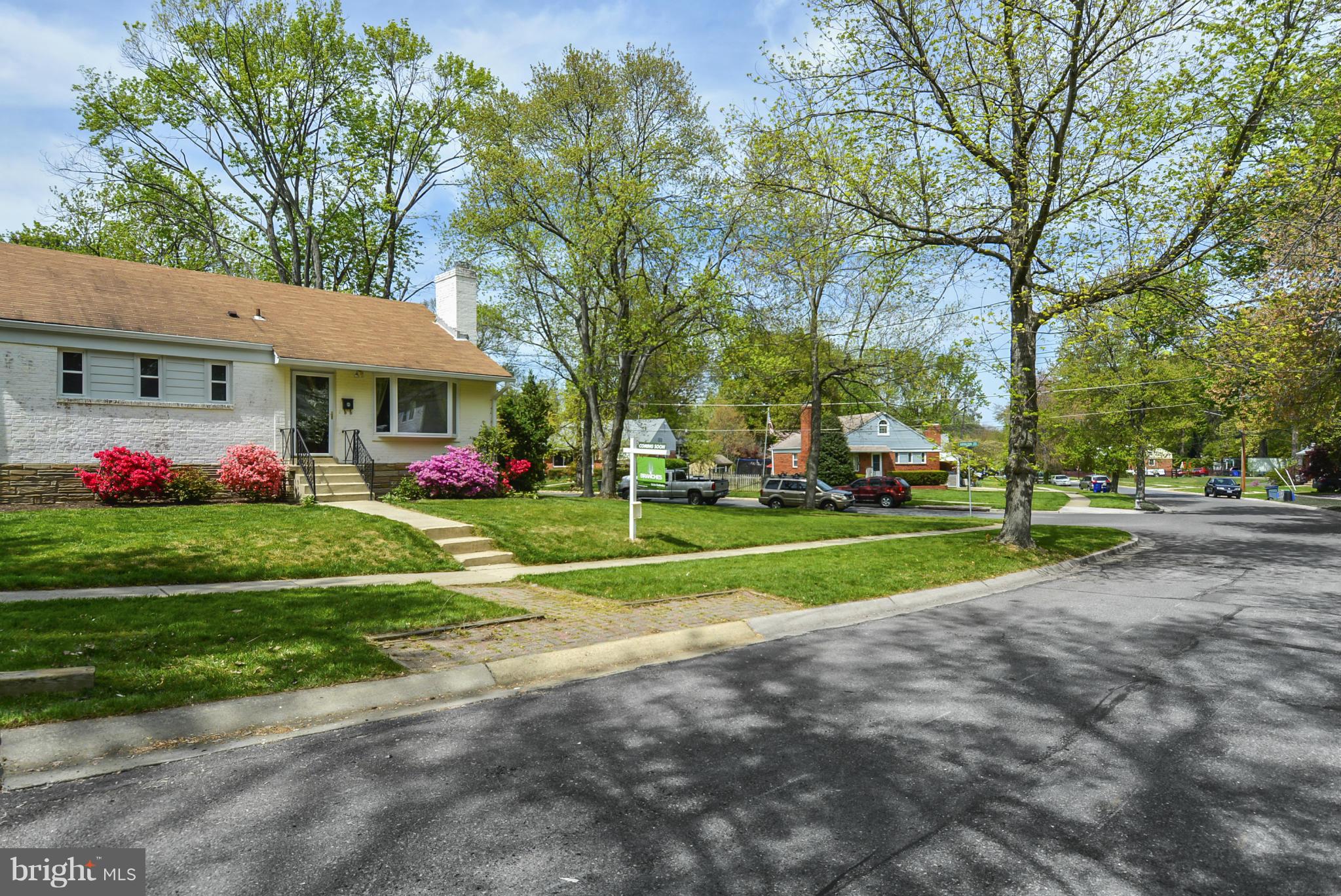 501 Royalton Road Silver Spring, MD 20901 - Photo 3 of 29 a view of a house with a big yard plants and large trees