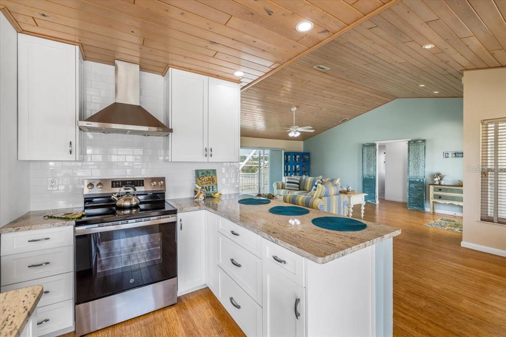 4009 Sheephead Drive Hernando Beach, FL 34607 - Photo 12 of 53