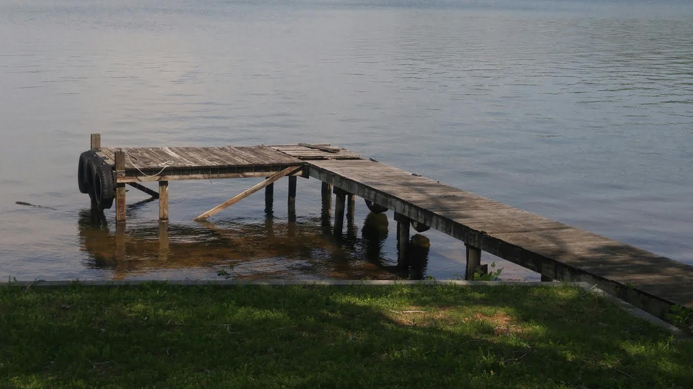 2004 Torbett Road Spring City, TN 37381 - Photo 2 of 39 community boat dock