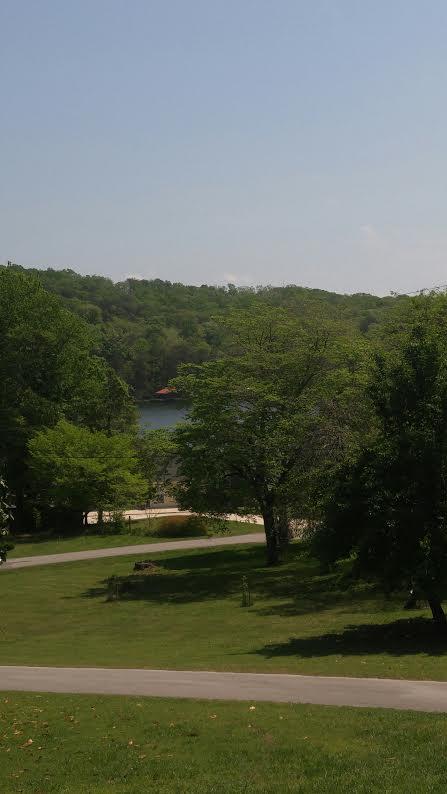 2004 Torbett Road Spring City, TN 37381 - Photo 38 of 39 lakeview 2