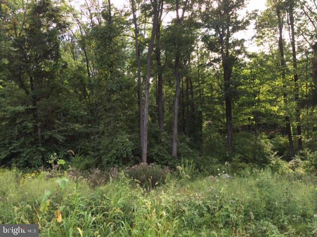 0 Freys Road, Unit 73 Elizabethtown, PA 17022 - Photo 1 of 6 Gallery Image 1