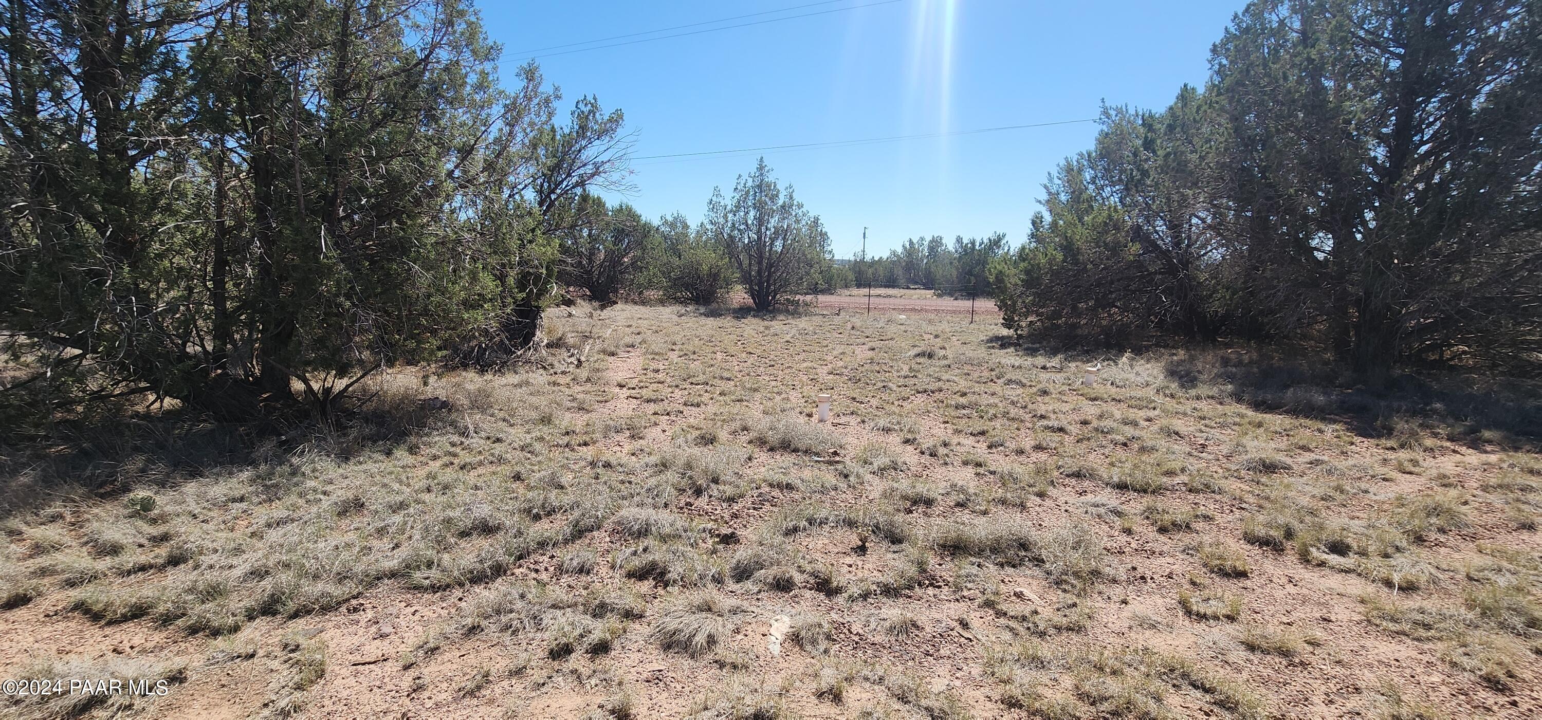 1159 Foothill Road Williams, AZ 86046 - Photo 5 of 31 a view of a yard covered with snow
