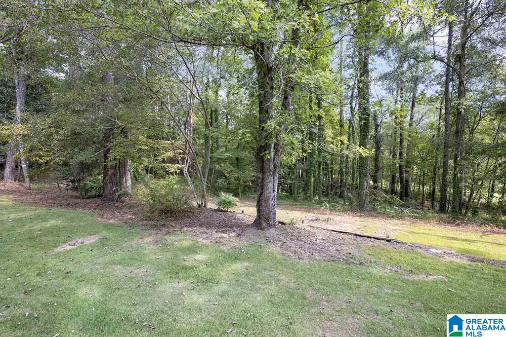 1275 Harper Springs Road Sylacauga, AL 35150 - Photo 23 of 29