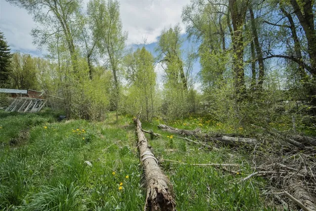 a view of a forest with a houses