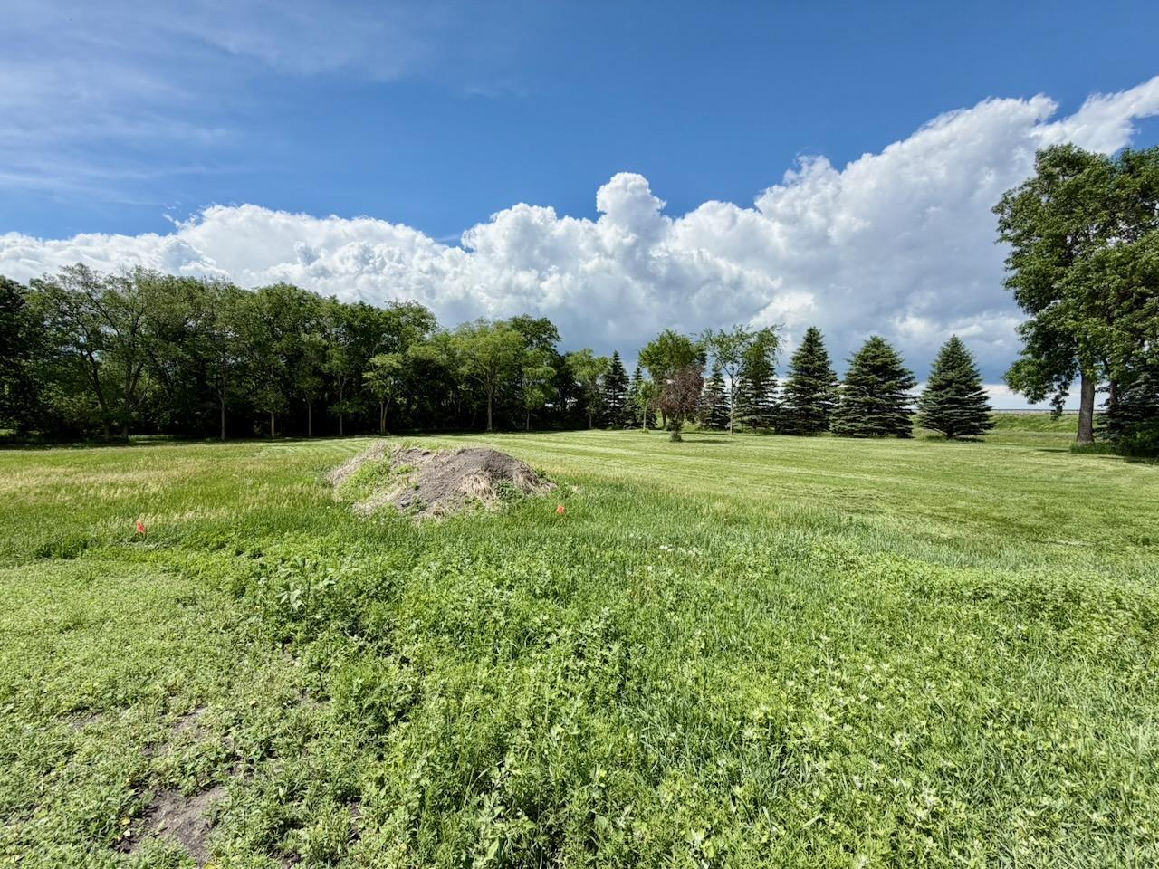30163 Highway 55 Wendell, MN 56590 - Photo 56 of 66