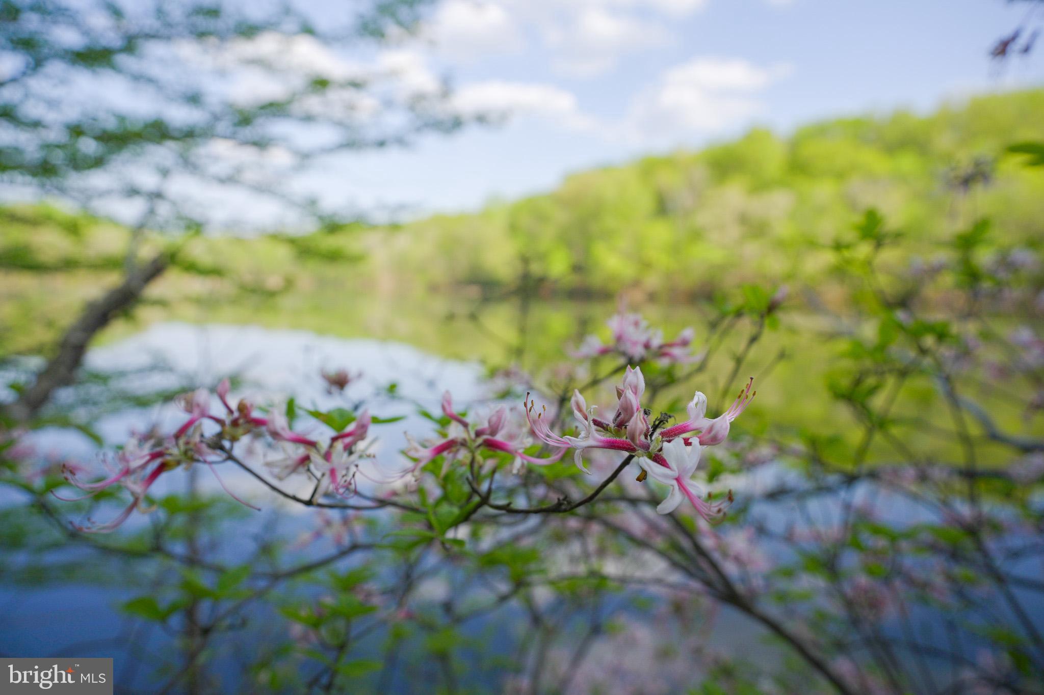 8593 Reservoir Road Fulton, MD 20759 - Photo 12 of 75