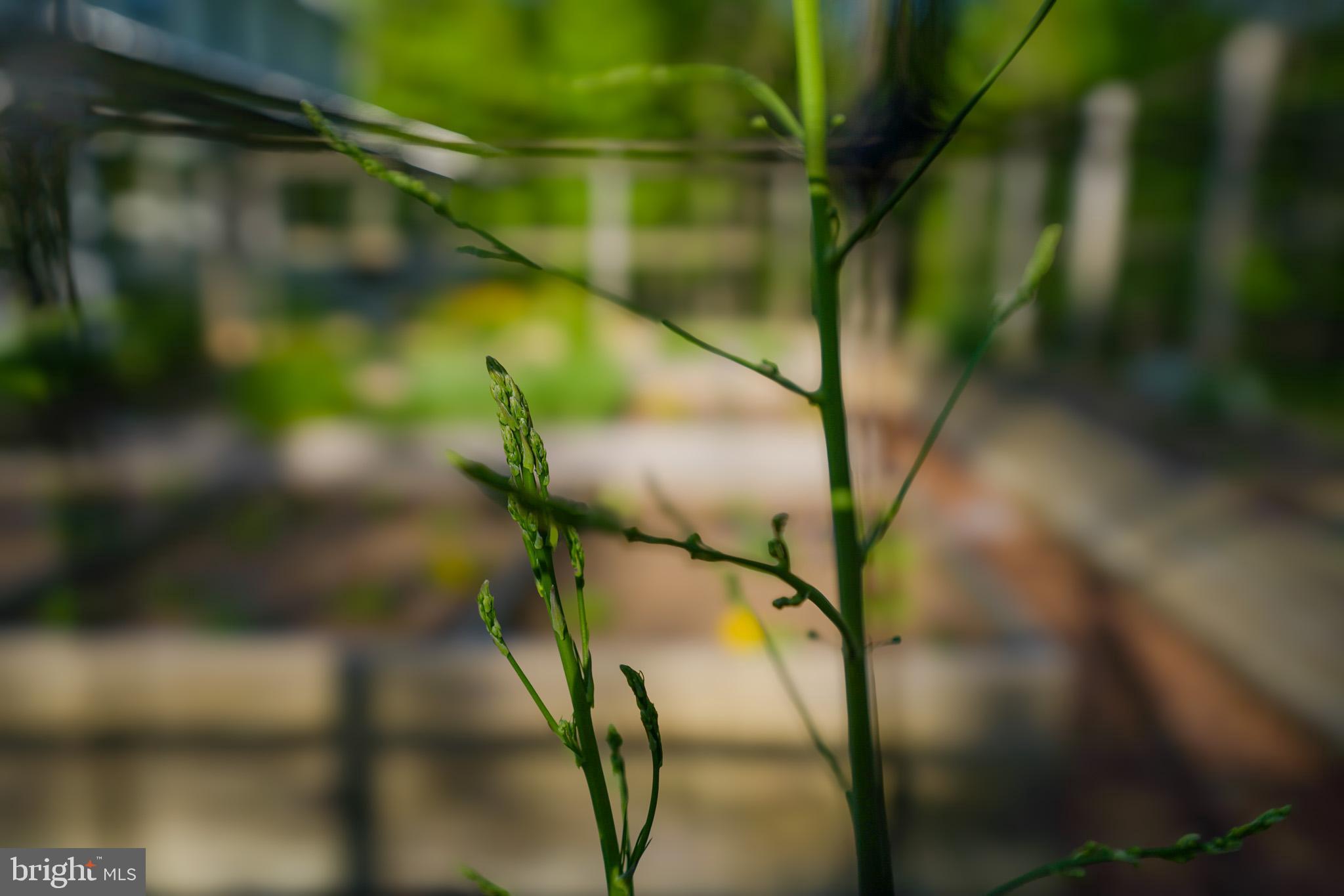 8593 Reservoir Road Fulton, MD 20759 - Photo 20 of 75