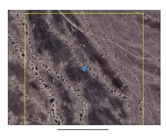 a view of a basket ball ground