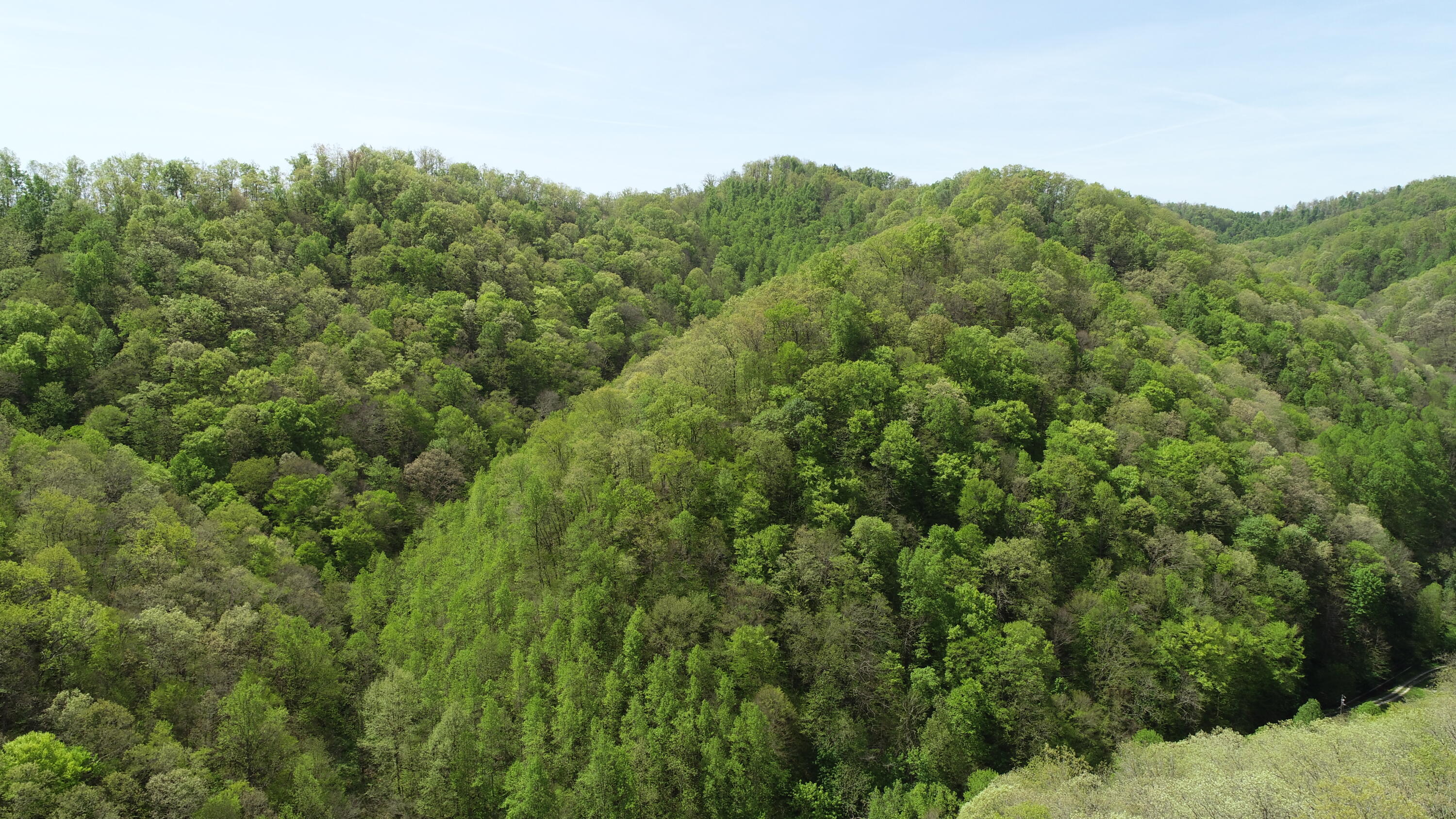 290 Rock House Branch Road Manchester, KY 40962 - Photo 2 of 24 DJI_0602