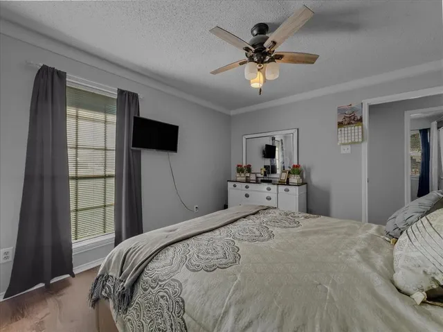 a living room with furniture a garden and a window