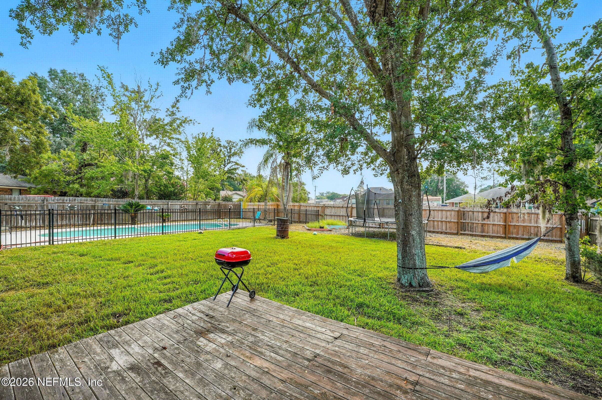 969 Alpine Ridge Court Orange Park, FL 32065 - Photo 23 of 26 a view of a park with large trees
