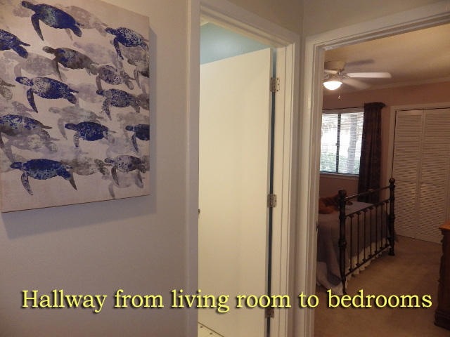 819 Club Cottage Road Edisto Beach, SC 29438 - Photo 22 of 45 1n