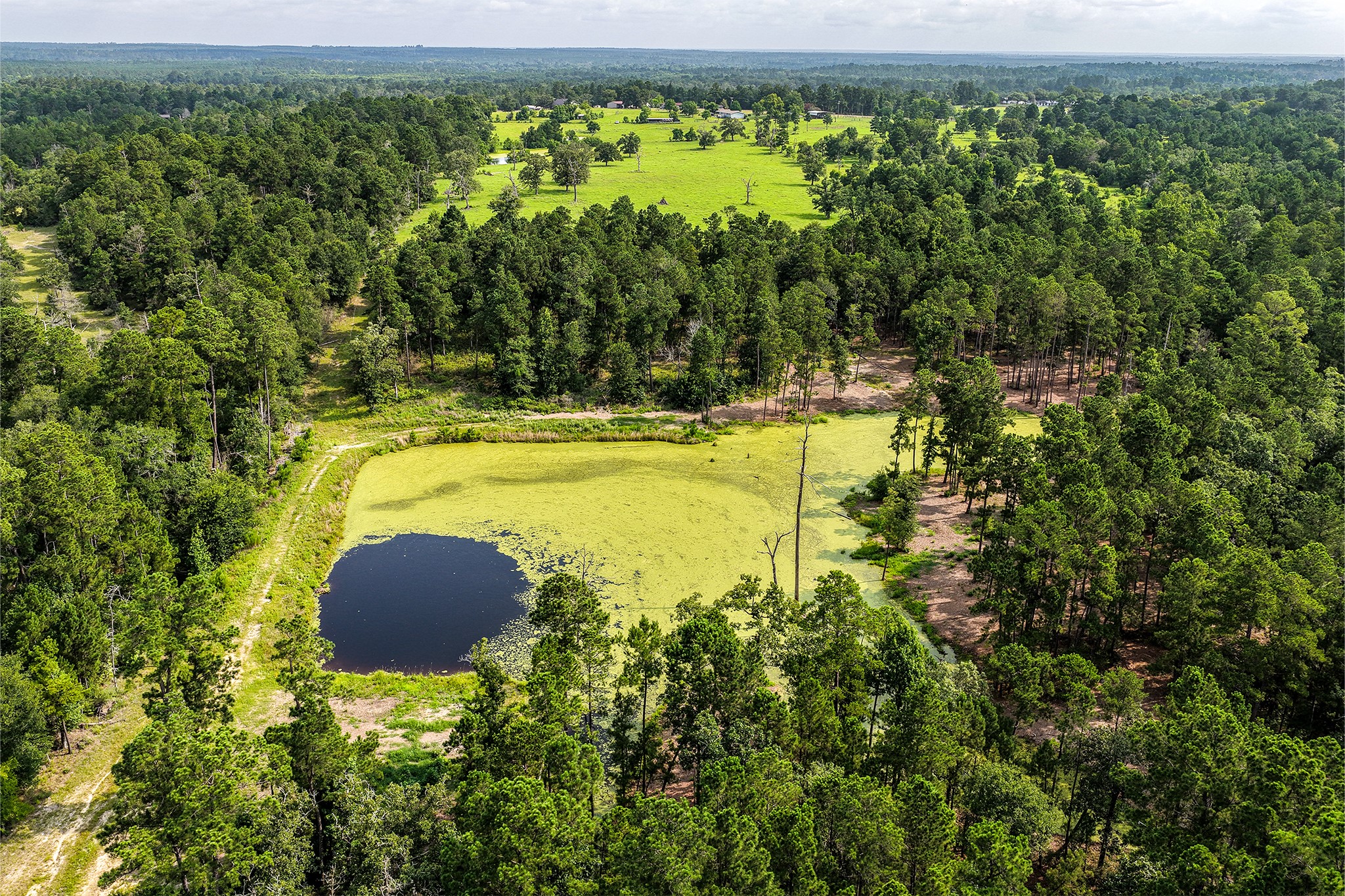 96 B John Kay Road Huntsville, TX 77320 - Photo 48 of 50 Back part of property with additional pond