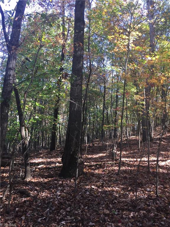 1670 Somers Road Ronda, NC 28670 - Photo 12 of 17 Gallery Image 12