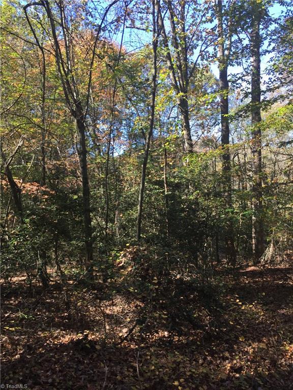 1670 Somers Road Ronda, NC 28670 - Photo 8 of 17 Gallery Image 8