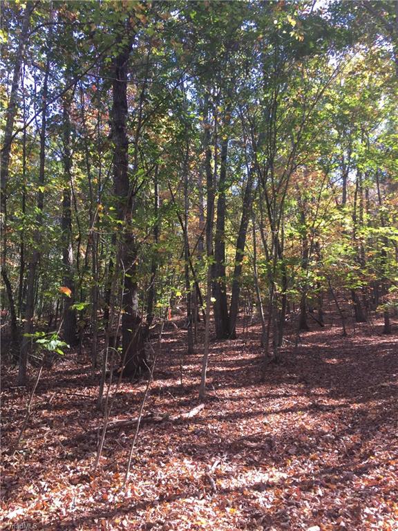 1670 Somers Road Ronda, NC 28670 - Photo 10 of 17 Gallery Image 10
