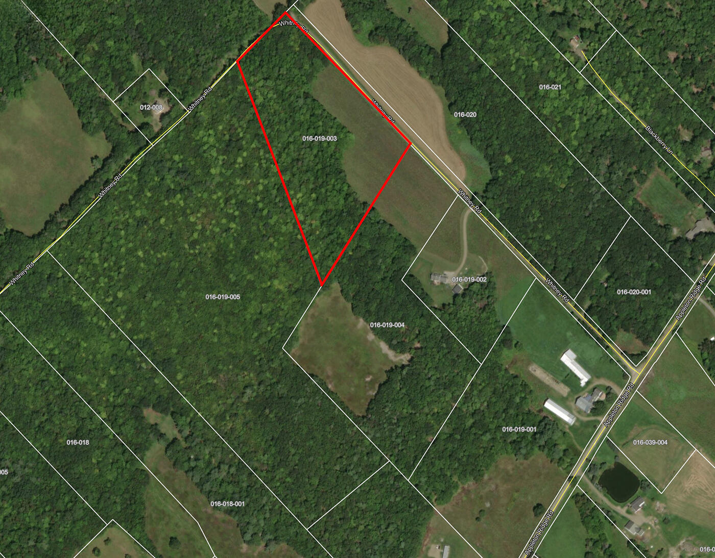 Lot#19-003 Whitney Road Appleton, ME 04862 - Photo 6 of 7 Land 2