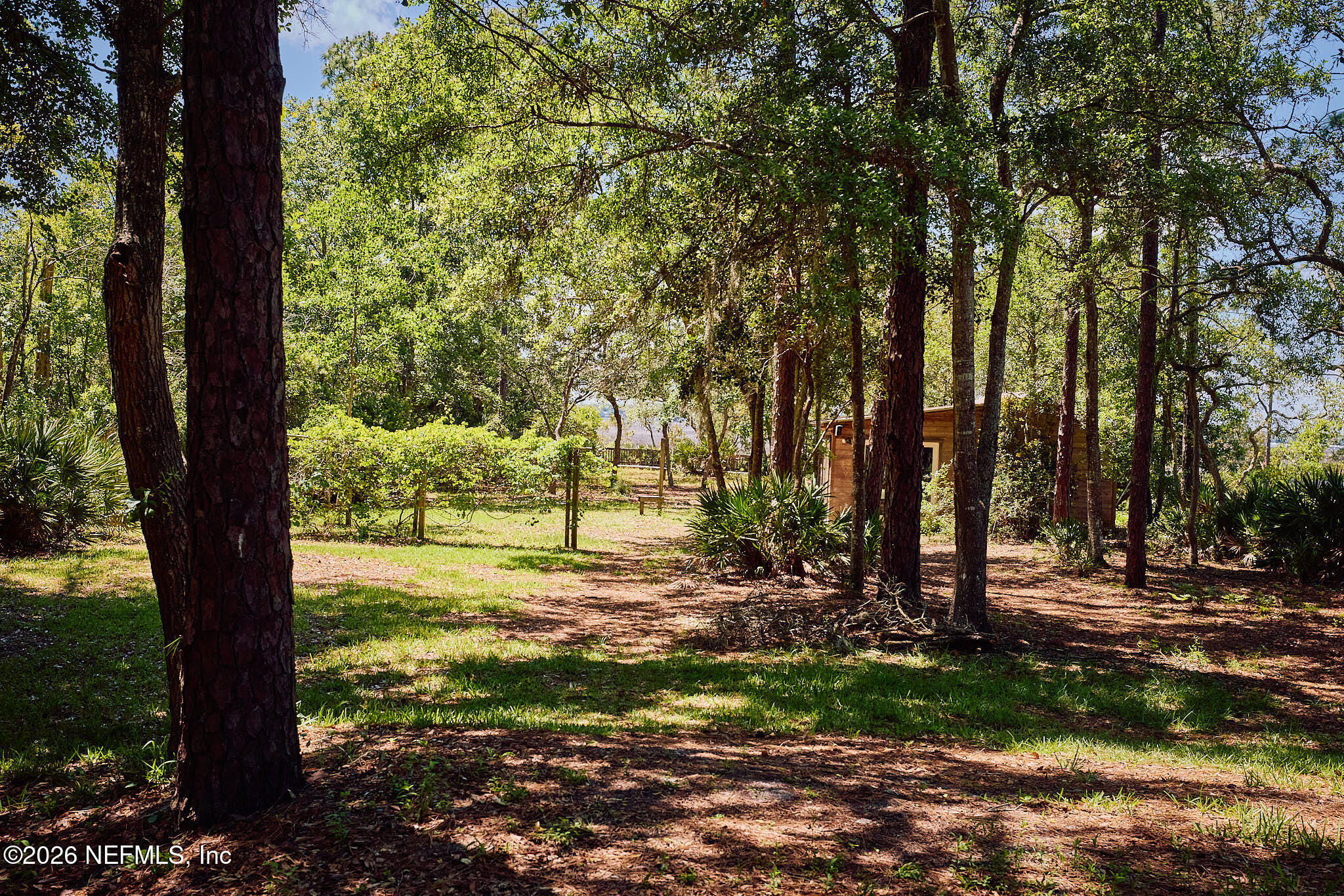 85404 Burmeister Road Fernandina Beach, FL 32034 - Photo 14 of 53 a view of a yard with large trees