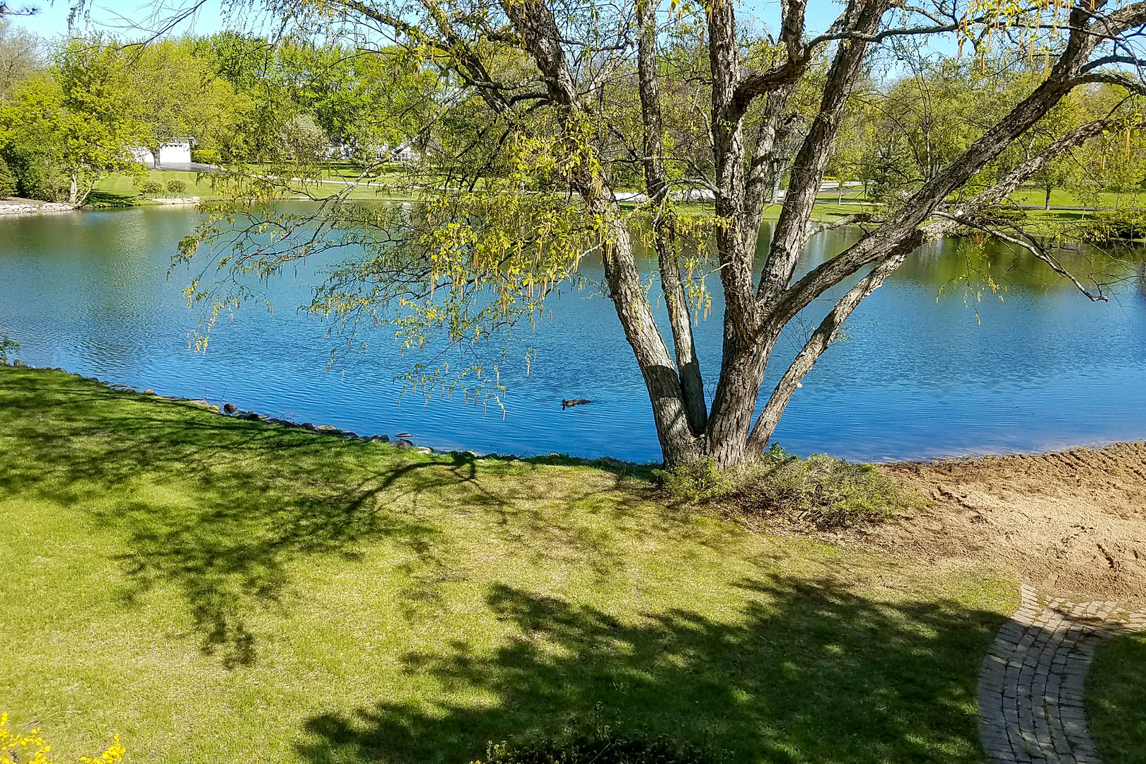 1620 Pheasant Trail Inverness, IL 60067 - Photo 32 of 35