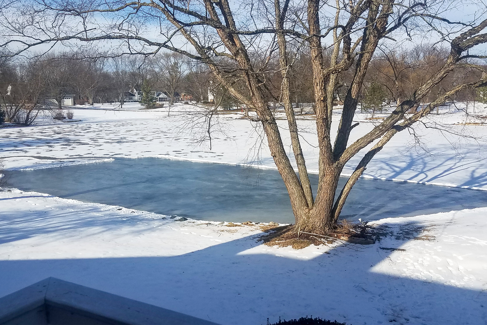 1620 Pheasant Trail Inverness, IL 60067 - Photo 33 of 35