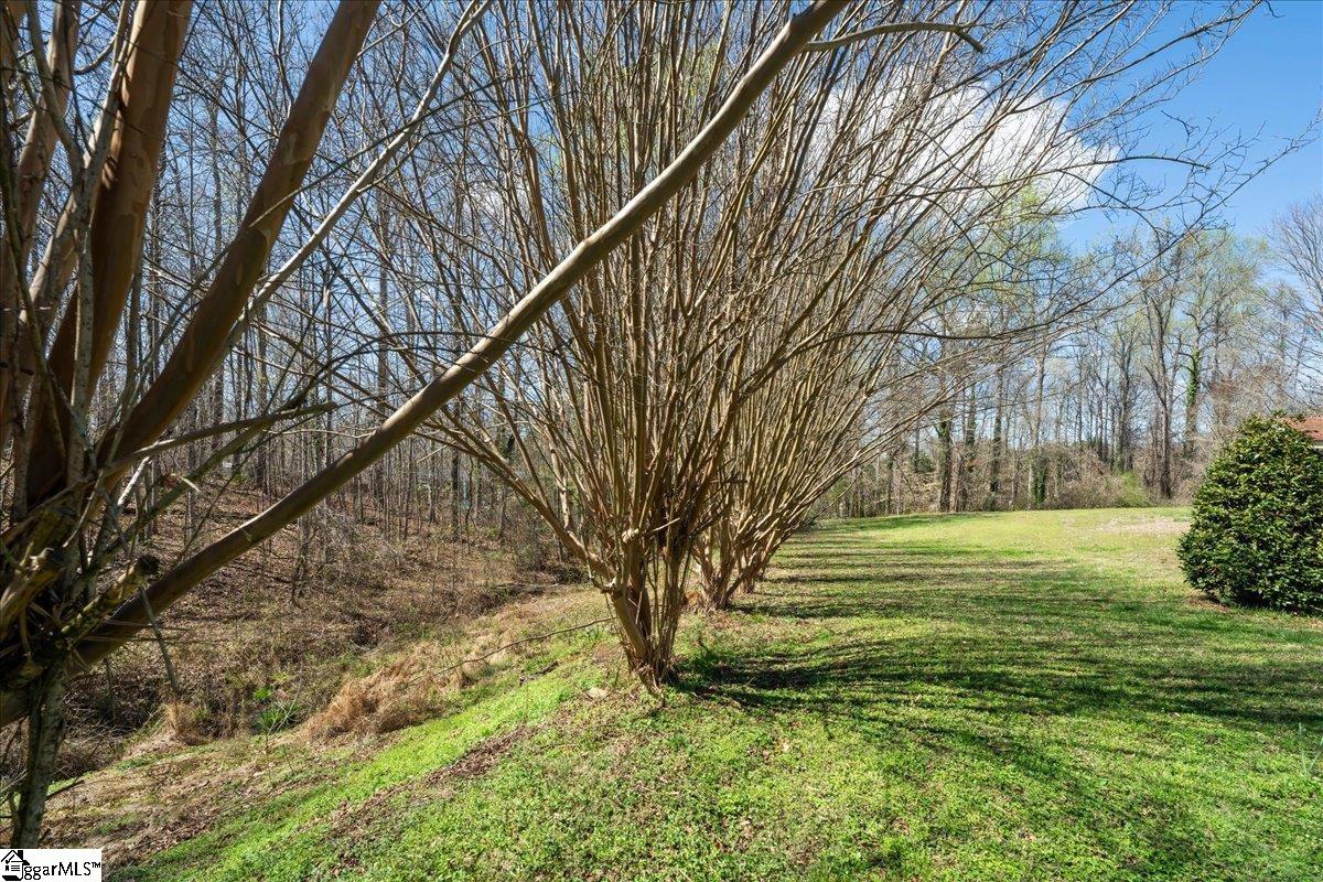 569 Edens Road Pickens, SC 29671 - Photo 41 of 48