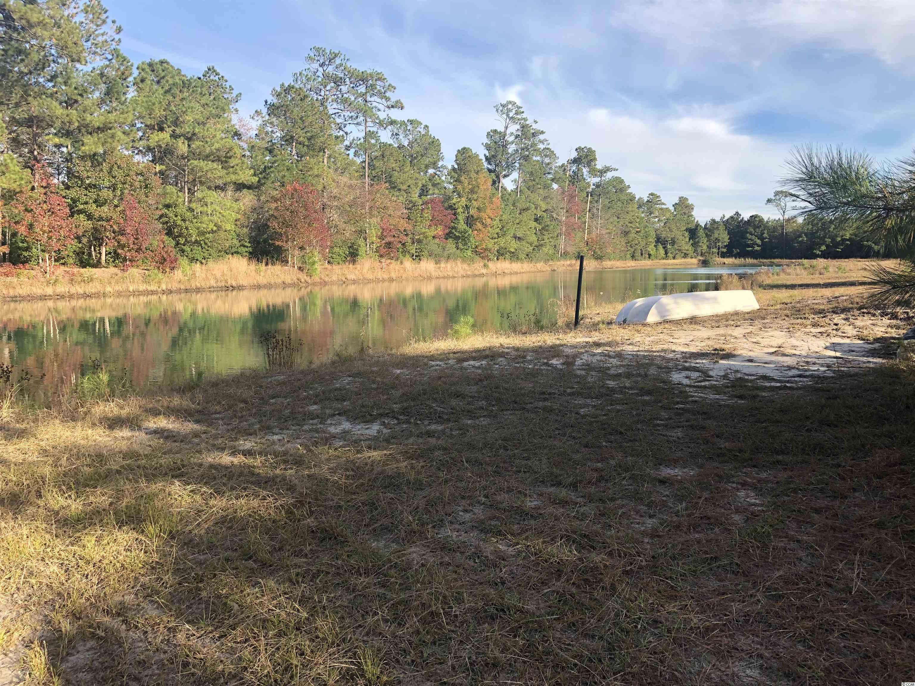 170 Murphys Landing Loop Loris, SC 29569 - Photo 1 of 9 Gallery Image 1