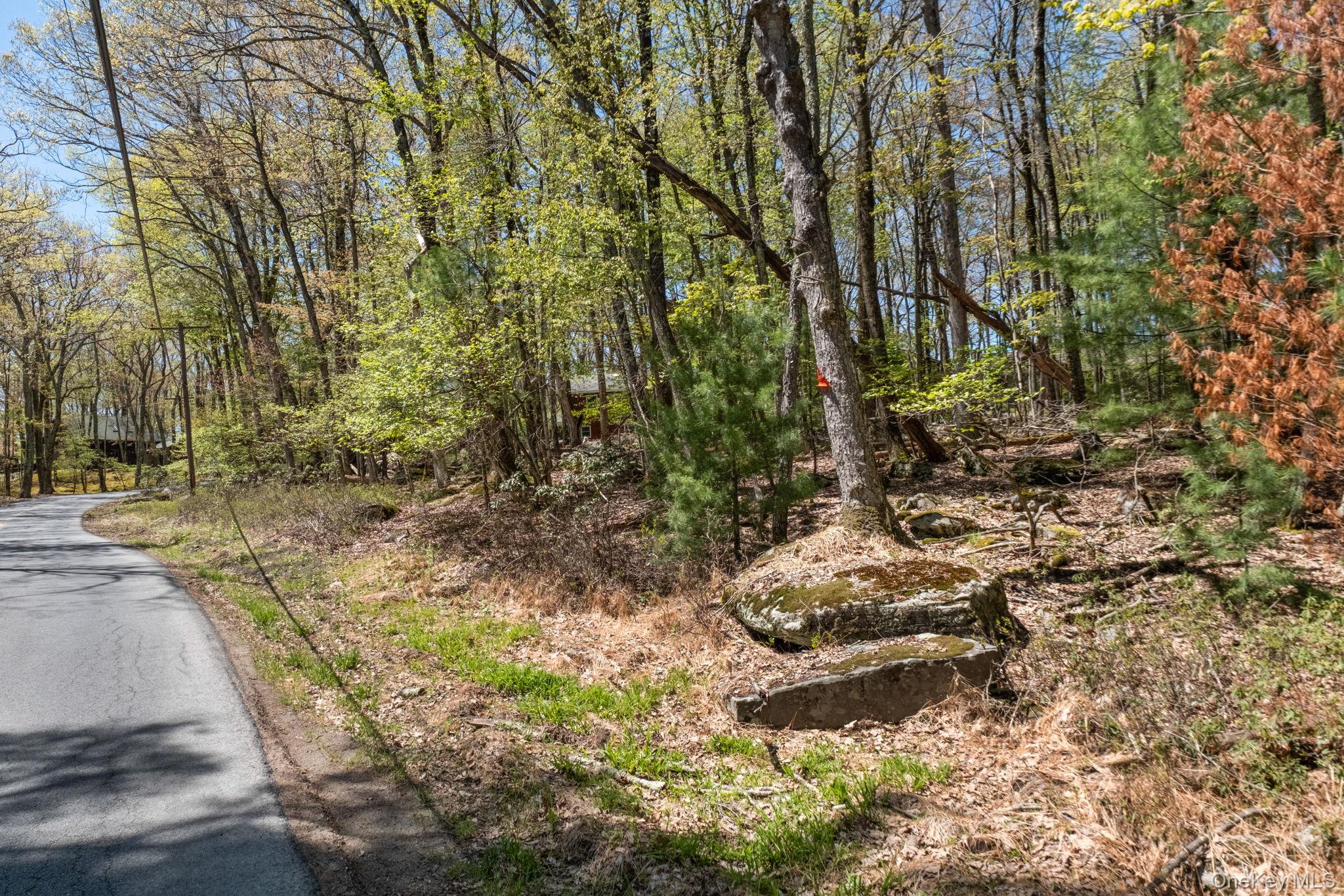 Wolf Pond Road Wurtsboro, NY 12790 - Photo 11 of 13